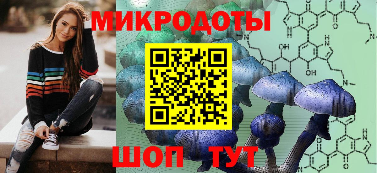 Псилоцибиновые грибы прущие грибы Белебей