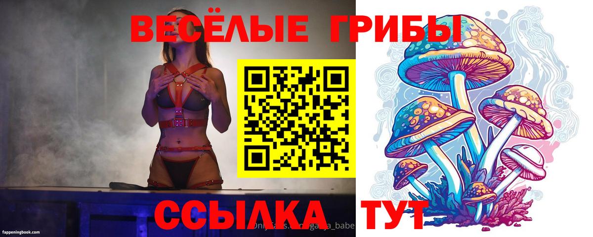 Белебей  где найти наркотики  Вход с VPN  Псилоцибиновые грибы мицелий  Псилоцибиновые грибы прущие грибы 